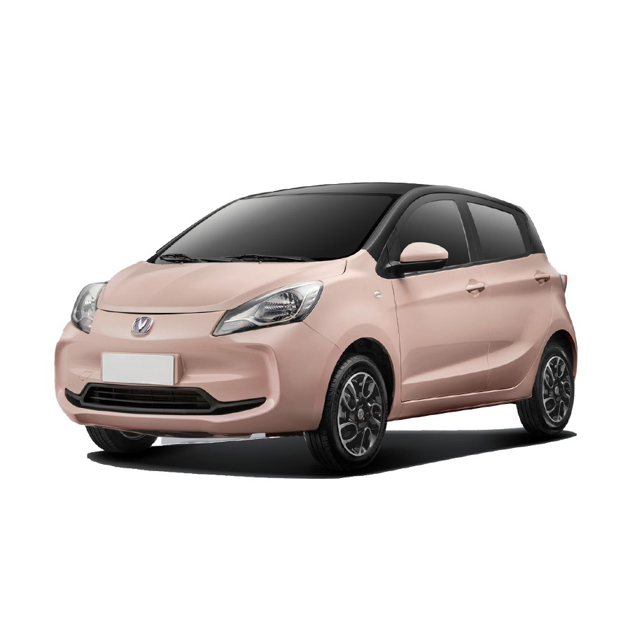 Changan Benben E-Star export vehicle